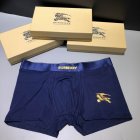 Burberry Men's Underwear 111