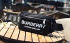 Burberry High Quality Handbags 213
