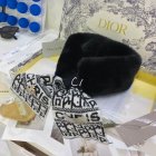 DIOR Scarves 218
