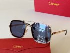 Cartier High Quality Sunglasses 176