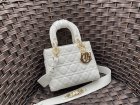 DIOR High Quality Handbags 100