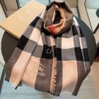 Burberry Scarves 329