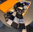 Louis Vuitton Scarves 28