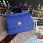 Dolce & Gabbana High Quality Handbags 137