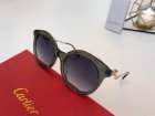 Cartier High Quality Sunglasses 971