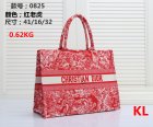 DIOR Normal Quality Handbags 169