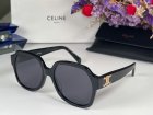 CELINE High Quality Sunglasses 163