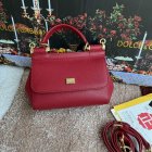 Dolce & Gabbana High Quality Handbags 202