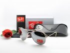 Ray-Ban Normal Quality Sunglasses 119