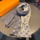 Louis Vuitton Scarves 35