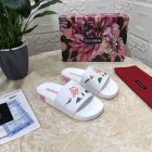 Dolce & Gabbana Women's Slippers 164