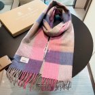 Burberry Scarves 119