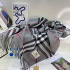 Burberry Scarves 468