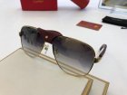 Cartier High Quality Sunglasses 1176