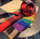 Burberry Scarves 20