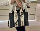 Chloe Original Quality Handbags 34