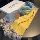 Loewe Scarves 41