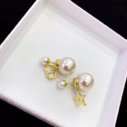 Dior Jewelry Earrings 434