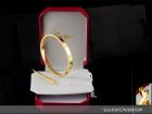 Cartier Jewelry Bracelets 173