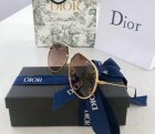 DIOR High Quality Sunglasses 1037