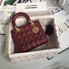 DIOR High Quality Handbags 894