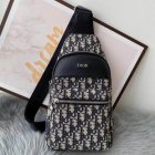 DIOR High Quality Handbags 203