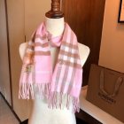 Burberry Scarves 16