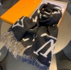 Louis Vuitton Scarves 107