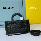 DIOR High Quality Handbags 558