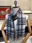 Burberry Scarves 51