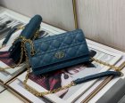 DIOR High Quality Handbags 19