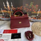 Dolce & Gabbana Original Quality Handbags 100