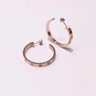 Cartier Jewelry Earrings 57