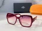 Hermes High Quality Sunglasses 226