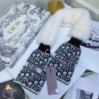 DIOR Scarves 226