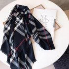 Burberry Scarves 423