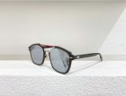 DIOR High Quality Sunglasses 1110