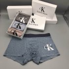 Calvin Klein Men's Underwear 221