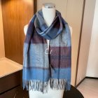 Burberry Scarves 252