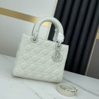 DIOR High Quality Handbags 869