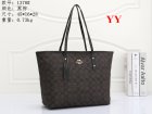 Coach Normal Quality Handbags 192