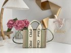 Chloe Original Quality Handbags 361