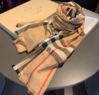 Burberry Scarves 303