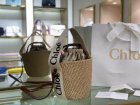 Chloe Original Quality Handbags 122
