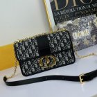 DIOR High Quality Handbags 841