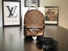 Louis Vuitton Backpack 142