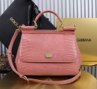 Dolce & Gabbana High Quality Handbags 721