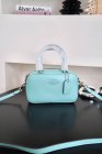 Coach High Quality Handbags 1005