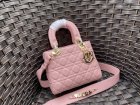 DIOR High Quality Handbags 102
