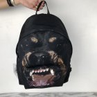 GIVENCHY Original Quality Handbags 98